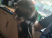 Baby ferrets READY TO GO