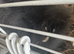 2 female teddydwerg bunnies URGENT HOME ASAP NEEDED