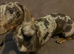 Dapple miniature dachshund female