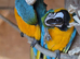 Breeding pair of macaws male and female