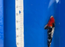 Koi Rescue and Rehoming