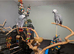 All parrots and birds welcome