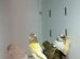 Canaries