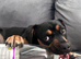 Matilda