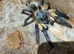 Various / Tarantula collection