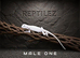 BEARDED DRAGONS