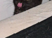 Female black kitten