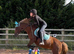 Welsh section A for 3 day loan