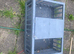 Pegions cage