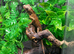 Male Vietnamese Blue Crested Lizard (Calotes Bachae) at Birmingham Reptiles