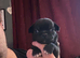 Pug cross