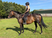 Safe Happy hack and low level allrounder