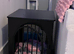 Tiny Chihuahua