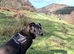 Narla