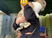 Stunning Continental Giant Rabbits