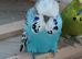 Some different age budgies and breeding boxes here