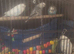 4 budgie for sale