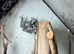 2 juvenile milk frogs