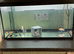 2 1/2 foot fish tank 105 litres brand new condition with 10 gold fish