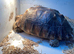17-Year-Old Female Sulcata Tortoise