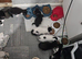 kittens ready 19/ 09/26