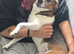 Lady Looking for Her Forever Home