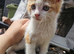 Charlie needs a forever home