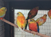Turquoisine's for sale