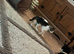 Riot Neutered Female Kitten