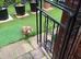 dachsund boy