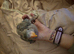 Baby hand reared Derbyan Parrot