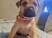 Re advertising due to owner pulling out