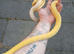 Reticulated python phanton lavender