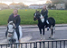 14.2/14.3 trotting colt ride and drive