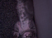 Beautiful grey tabby Maine coon cross male kitten