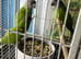 Baby Senegal Glasgow