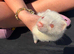 Ferrets