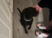Patterdale