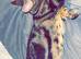 Female tabby cat