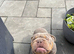 Male English bulldog 3 years