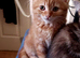 Two young girls looking for forever home