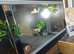 Vivarium LARGE nearly new 4 foot