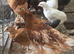 Mixed chickens