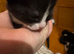Selling 1 kittens
