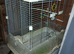 Lovely bird cage