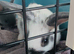 Bugsy and boo