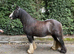 Very smart 13.3 smokey blagdon