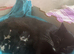 2 kittens looking for homes