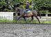 Pony club school master Royal anise