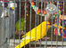 2 kakariki&rsquo;s